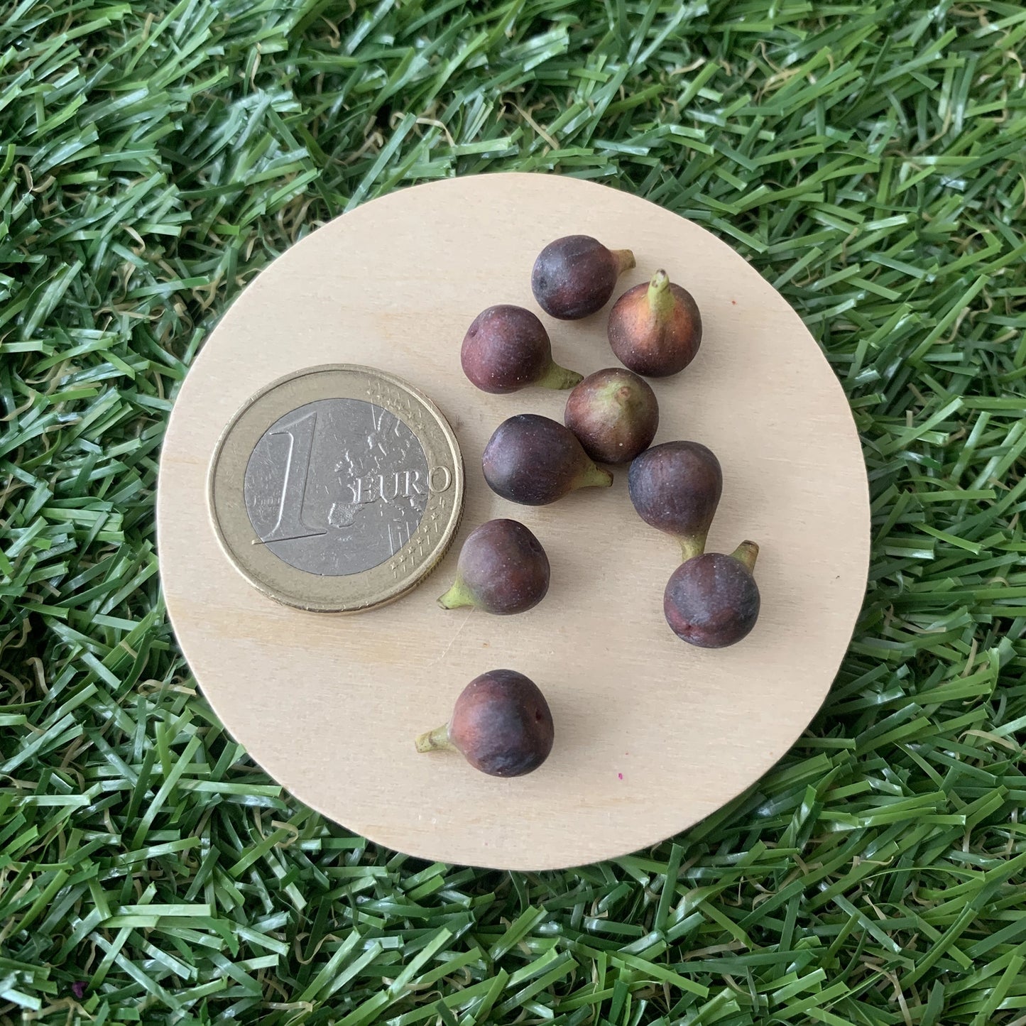 Higo para casa de muñecas