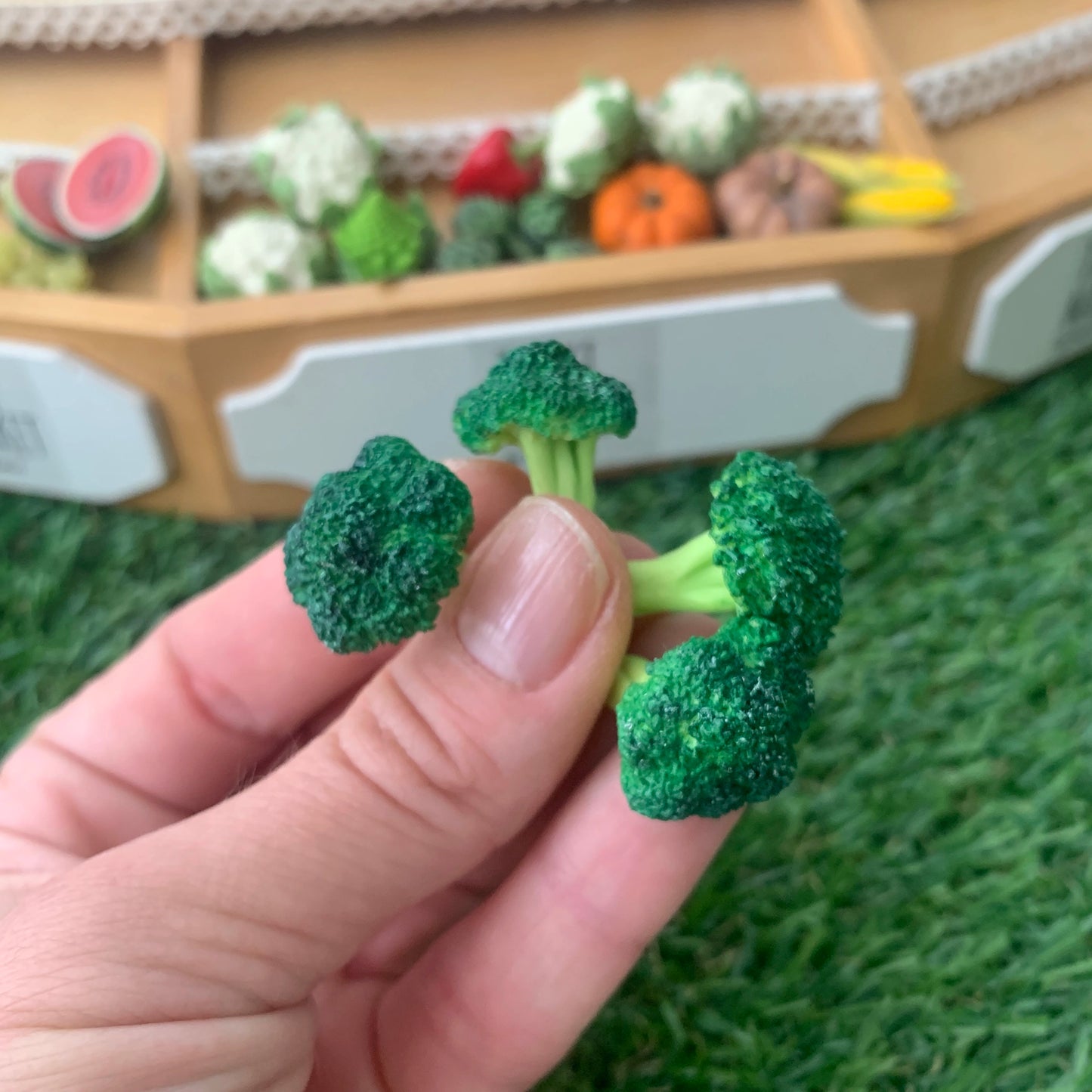 Broccoli para casa de muñecas
