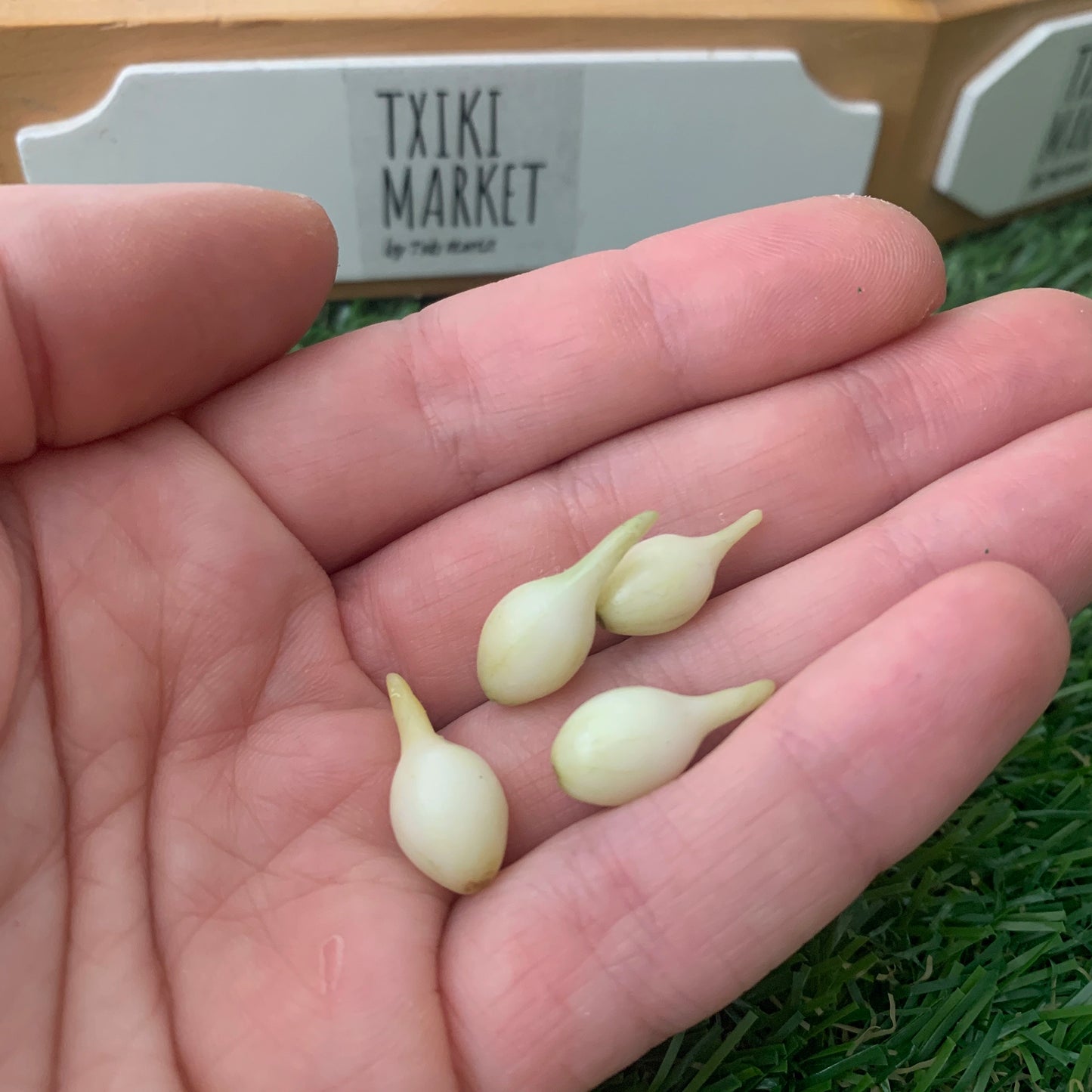 Onion for dollhouse