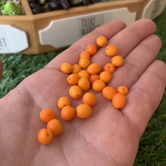 Albaricoque para casa de muñecas