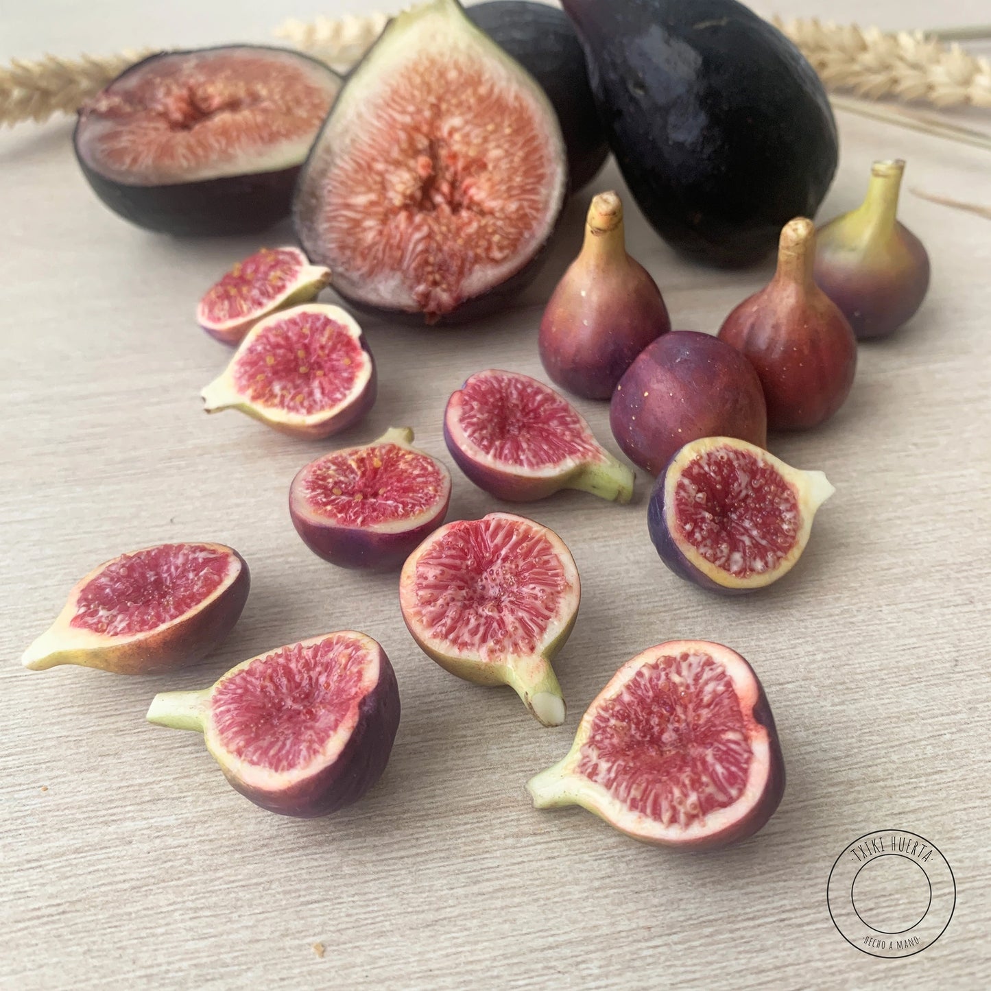 Fig