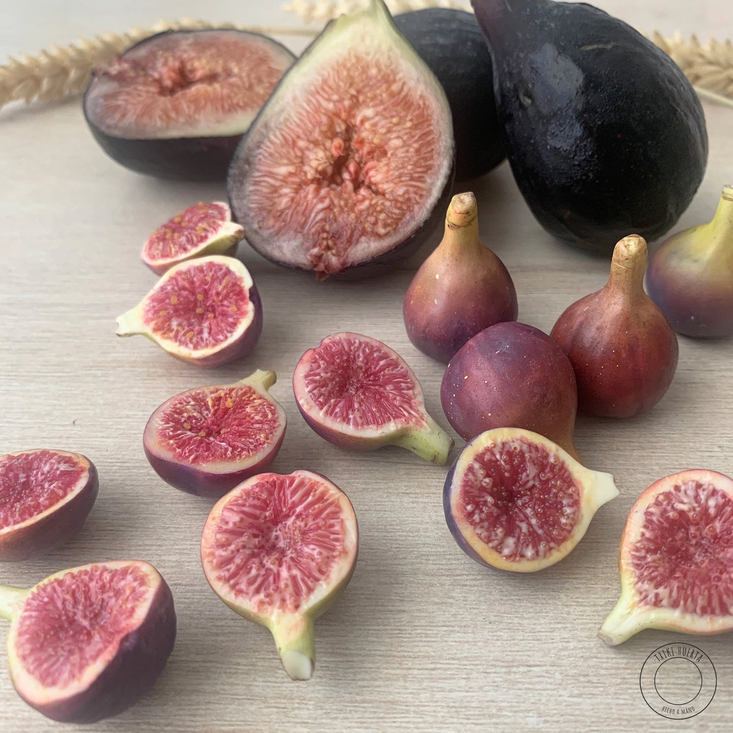 Fig