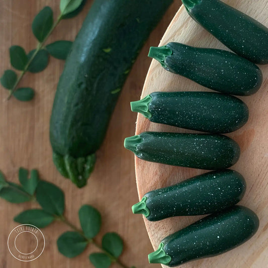 Calabacín Zucchini