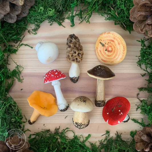 Mushroom Pack