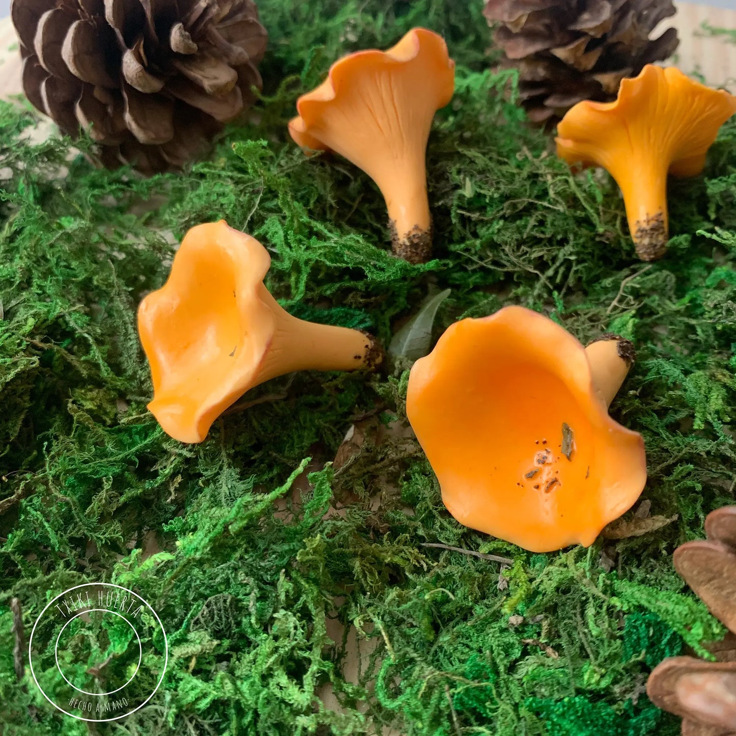 Chanterelle