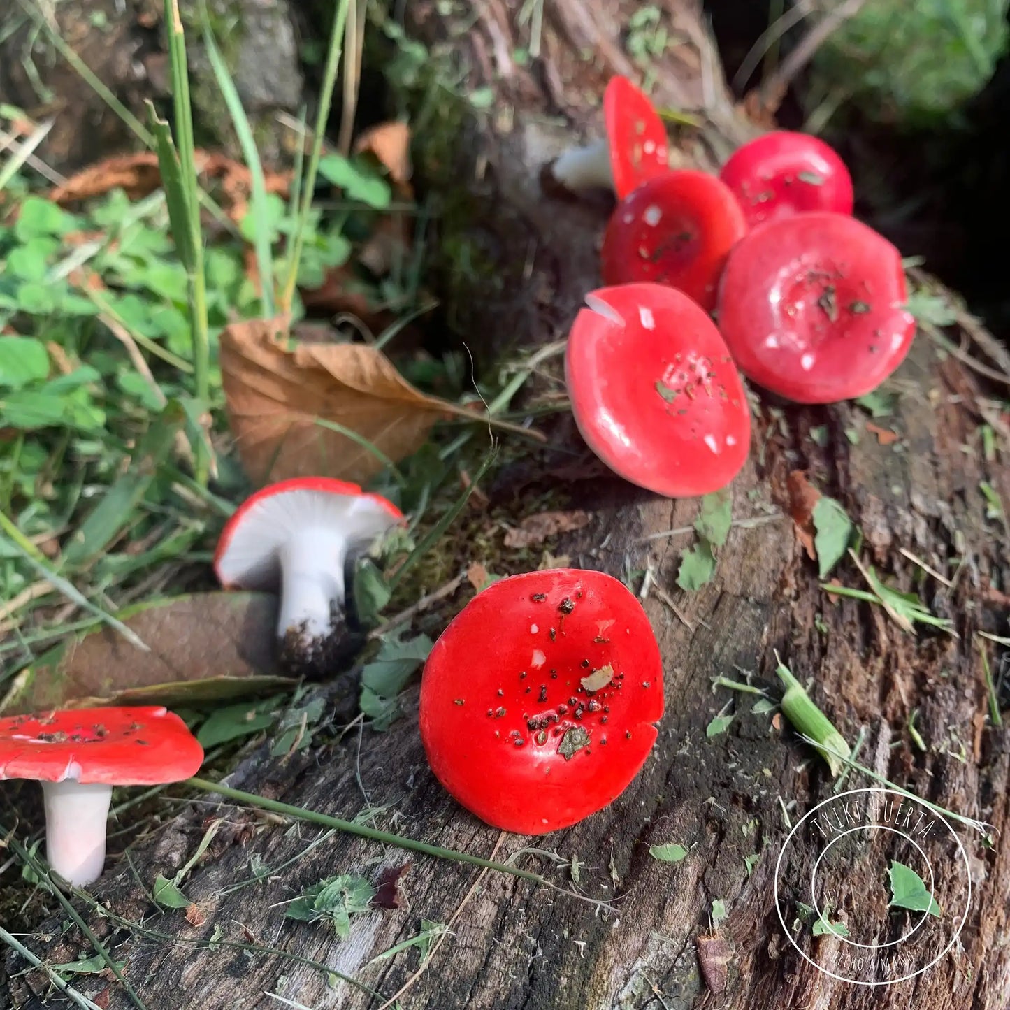 Russula