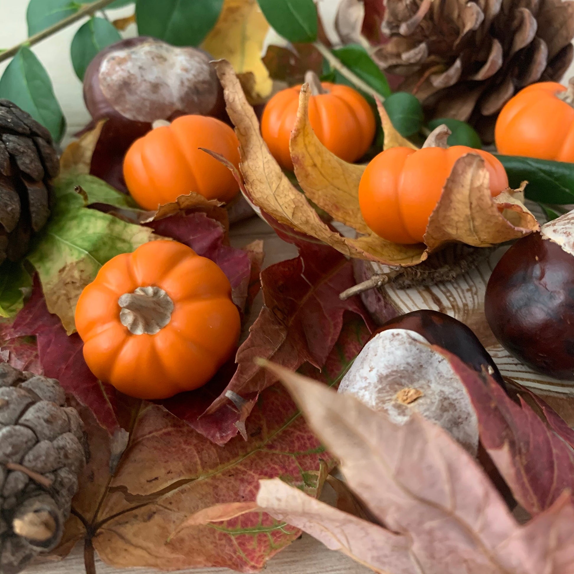 Miniature pumpkin, Polymer clay vegetables