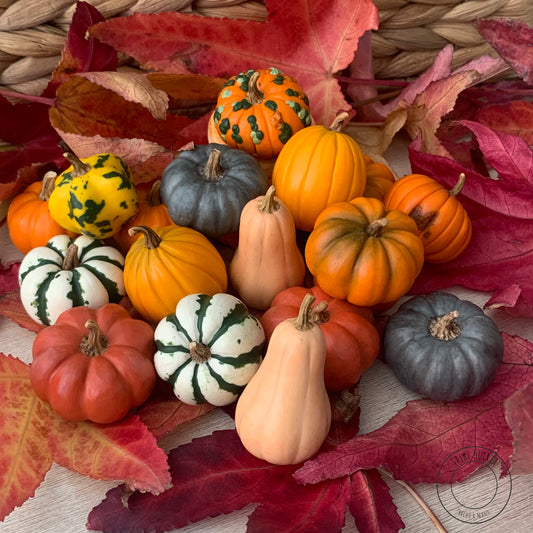 Miniature pumpkin, Polymer clay vegetables