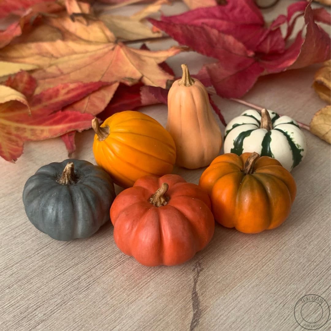 Miniature pumpkin, Polymer clay vegetables